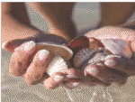 Wealth Making Ritual